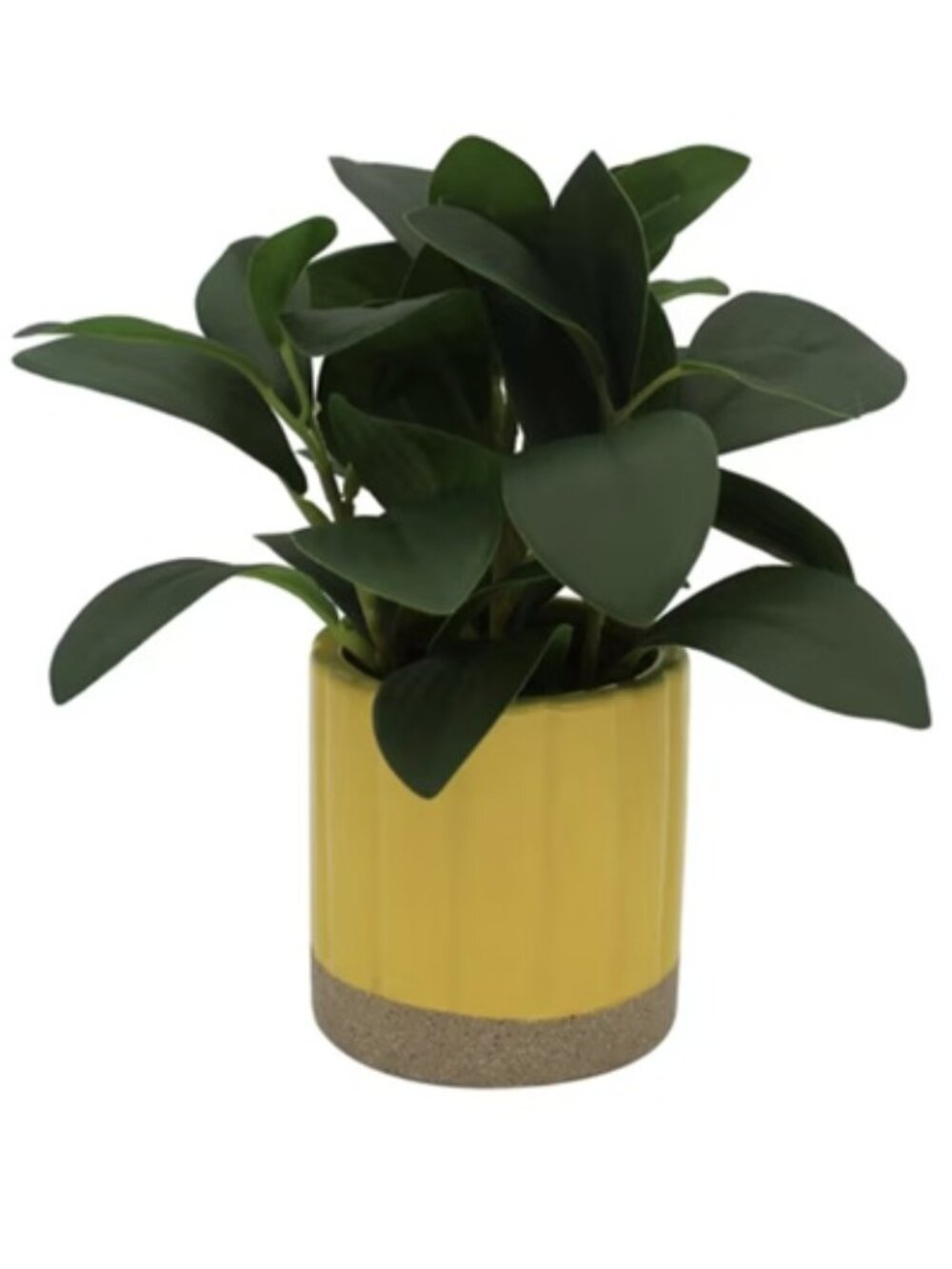 Mainstays by Becky G. & Alejandra Artificial Potted Plant